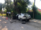 Пьяный подросток на ВАЗ врезался в дерево в Ростовской области, погибли два человека