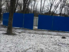 Скандал со спилом деревьев в ростовском сквере не остановил строителей
