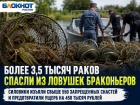 Тысячи раков попались в сети браконьеров: в Ростовской области изъяли более 550 ловушек