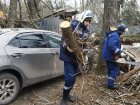 В Ростове продолжают падать деревья и страдать автомобили