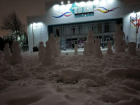  «Армия белых на подходе»: жительница Шахт опубликовала фото десятков снеговиков