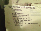 Не выбрасывать в мусоропровод бомжей и животных умоляют жители Ростова