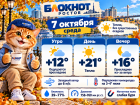 До +21, но ощущаться будет холоднее: какой будет погода в Ростове 7 октября