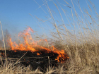 Сильные пожары угрожают Ростовской области в ближайшие три дня