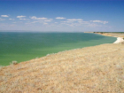 Ученый заявил о «захвате» карасями Цимлянского водохранилища в Ростовской области