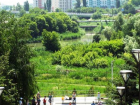 У Ботанического сада появится новый график посещений в Ростове