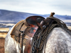 Ученые из Ростова назвали новую дату появления жесткого конного седла
