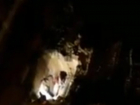 Оживающих к полуночи рабочих-«вампиров» уставшие от бессонницы жители центра Ростова сняли на видео