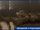 Центр Ростова затопило из-за ливня 13 декабря: видео