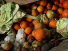 Больше трех тонн порченных овощей и фруктов чуть было не попали на прилавки Ростова