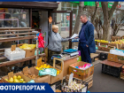 В Ростове усилили контроль за исполнением договоров на вывоз ТКО юрлицами