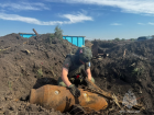 В Мясниковском районе уничтожили авиабомбы времен Великой Отечественной войны