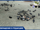 Ростовчанка пожаловалась на грязь на Соборной площади