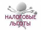 Ростовские семьи с детьми-инвалидами получат налоговую льготу в 50%