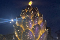 Огромная шишка на набережной Ростова наконец открыта