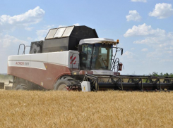 Аграрии Ростовской области собрали первые 1,4 млн тонн зерна в 2022 году
