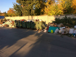 Невыносимо тошнотворное зловоние от мусорки рядом с кладбищем донимает и покойников, и живых