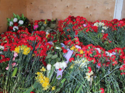 В Ростове цветы с мемориала погибшим в «Крокусе» перевезли на могилы бойцов СВО