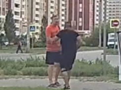 Бешеный водитель-качок ударил ростовчанина с ребенком на пешеходном переходе