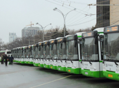 Три новых автобусных маршрута открылись в Ростове 