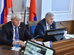 В Ростовской области начали дискуссию о допустимости усыпления больных и агрессивных животных