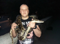 Жестокое убийство молодого мужчины в центре Ростова сняли на мобильный телефон