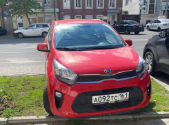 Власти Ростова пообещали штрафовать любителей парковаться на газонах