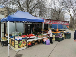 Власти Ростова-на-Дону разработали план по борьбе с овощными палатками