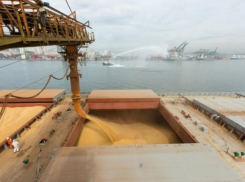 Крупнейший донской экспортер зерна хочет взыскать с Россельхознадзора 60 тысяч долларов