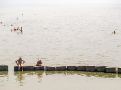 Азовское море находится на грани экологической катастрофы
