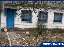 На жуткое состояние местной больницы пожаловались жители Ростовской области президенту Путину