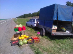 Ветеринары проверяют мед, дыни и арбузы у придорожных торговцев на М-4 «Дон»