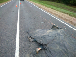 Трусливый водитель КамАЗа сбил молодого мужчину и бросил его умирать на трассе под Ростовом