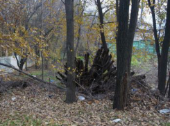 О душераздирающих криках о помощи безжалостный ростовчанин вместо полиции рассказал в соцсети