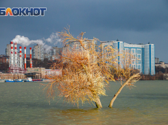 В Ростове выходные начнутся с тепла и умеренного ветра