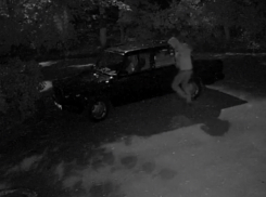 «Танцы с бубнами» ночного автовора попали на видео в Ростове