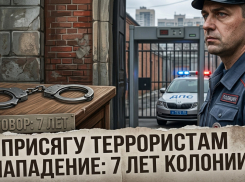В Ростове подросток из КБР получил 7 лет колонии за присягу террористам и нападение с ножом на полицейского
