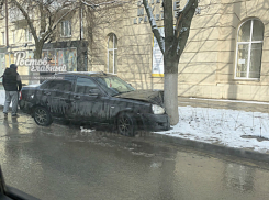 «Поцеловавшего» дерево «взасос» незадачливого автомобилиста высмеяли жители Ростова
