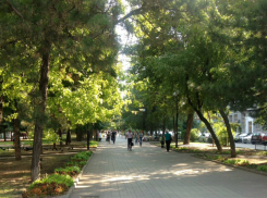 Теплыми осенними деньками порадует ростовчан новая рабочая неделя