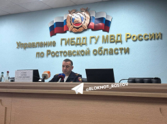 За восемь месяцев погибло 280 человек в 1682 ДТП на донских дорогах 