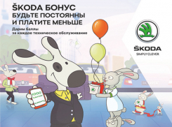 Л-МОТОРС дарит баллы по программе ŠKODA БОНУС 