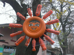 «Красное солнышко», повисшее на дереве в Ростове, испугало горожан и попало на фото