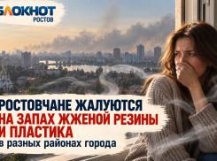 Ростовчане жалуются на жуткую вонь в разных районах города