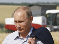 Владимир Путин может посмотреть ЧМ на «Ростов-Арене» с главой Южной Кореи