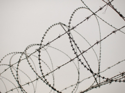 Ростовчанка 60 раз ударила ножом своего отца