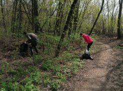 В Ростове прошел масштабный субботник в роще СКА