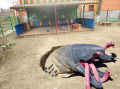 Ростовчане сотворили кучу смешных мемов на тему ямы в детском саду Таганрога 