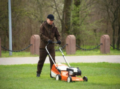 В Ростове проведут генеральную уборку перед Днем города