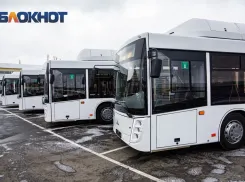 На Дону обновят 1,5 тысячи автобусов до 2030 года