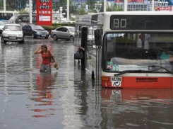 Штормовое предупреждение: на Дону ожидается шквалитый ветер и сильные ливни с грозами